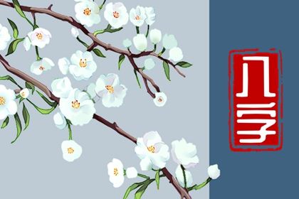 测八字起名字|八字喜木取名字|八字五格取名|起名测八字|八字喜木取名