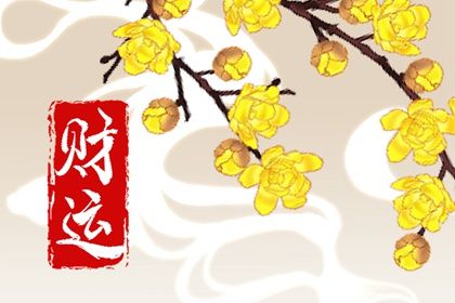 排盘报告阅读顺序
