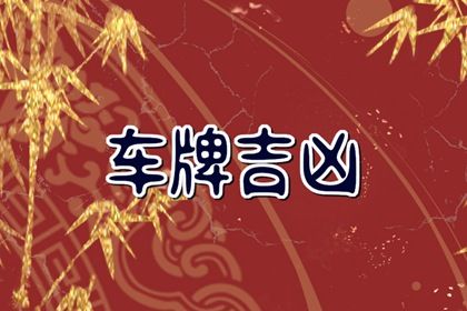 81 数理简介
