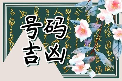 在线号码查询怎么看