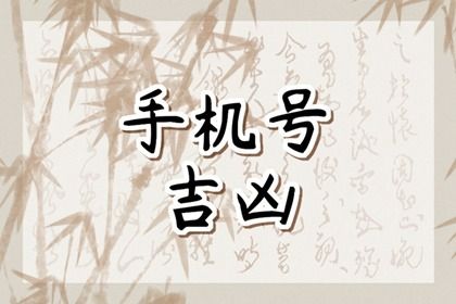 数理分如何理解