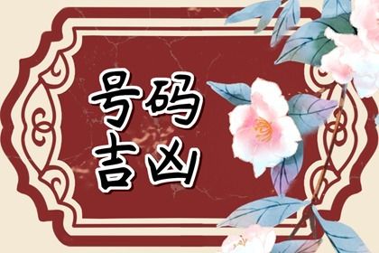 号码吉凶是什么