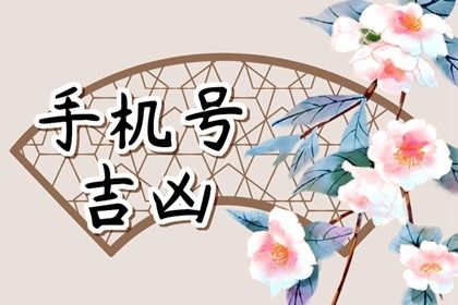 数理分如何理解