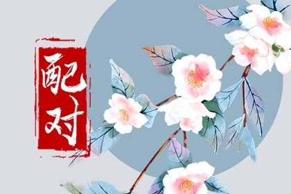 日支定夫妻宫：合与冲