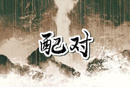 姓名配对在合婚中的位置