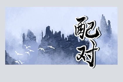 流年合婚：动态视角