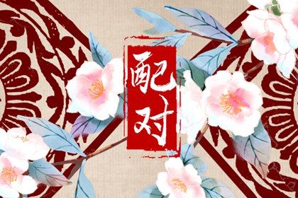 夫妻宫（日支）与婚后相处