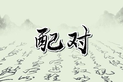 理想对象类型