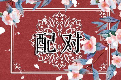 如何读本页结果