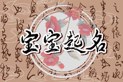 冲克生肖的字一定不能用吗