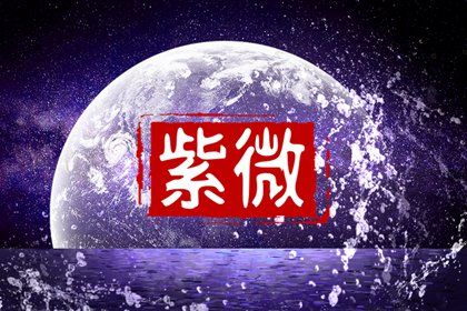 在线紫微查询怎么看