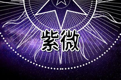 常见紫微误区