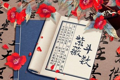 数字化紫微参考用法