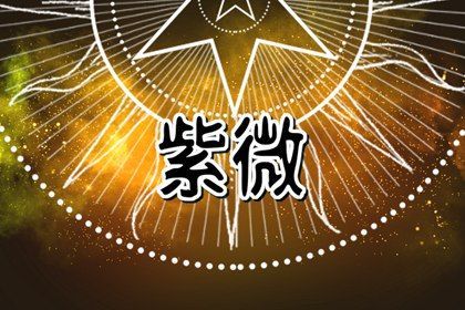 排盘格不是终局