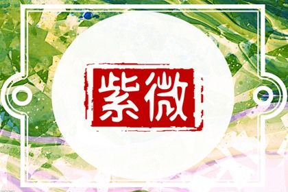 在线紫微查询怎么看