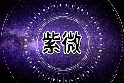 十二宫结构