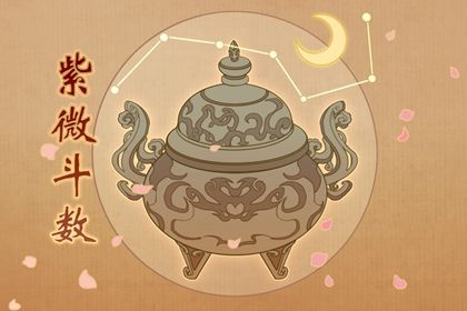 本命星宿简介